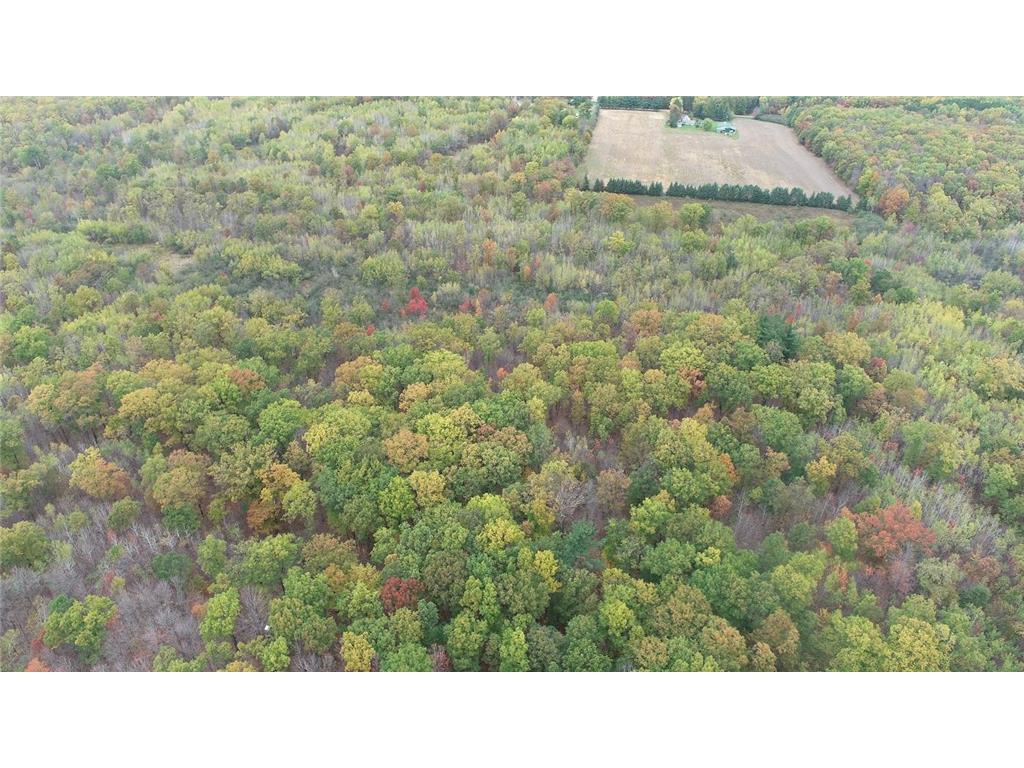 0 20th Avenue Sigel Twp WI 54727 6451622 image1