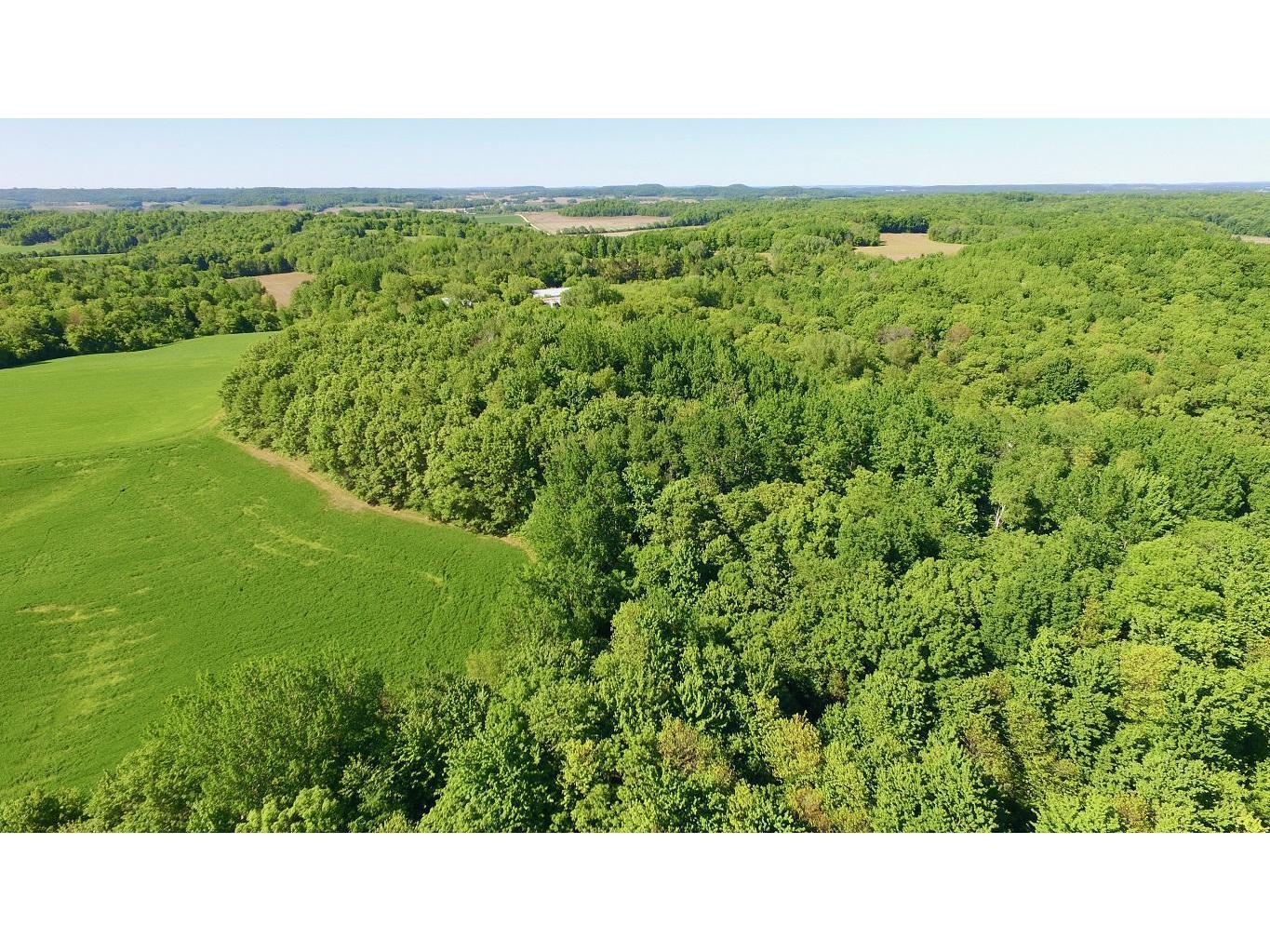 0 230th Avenue, Eau Galle Twp, WI 54737 MLS 5769791 Edina Realty