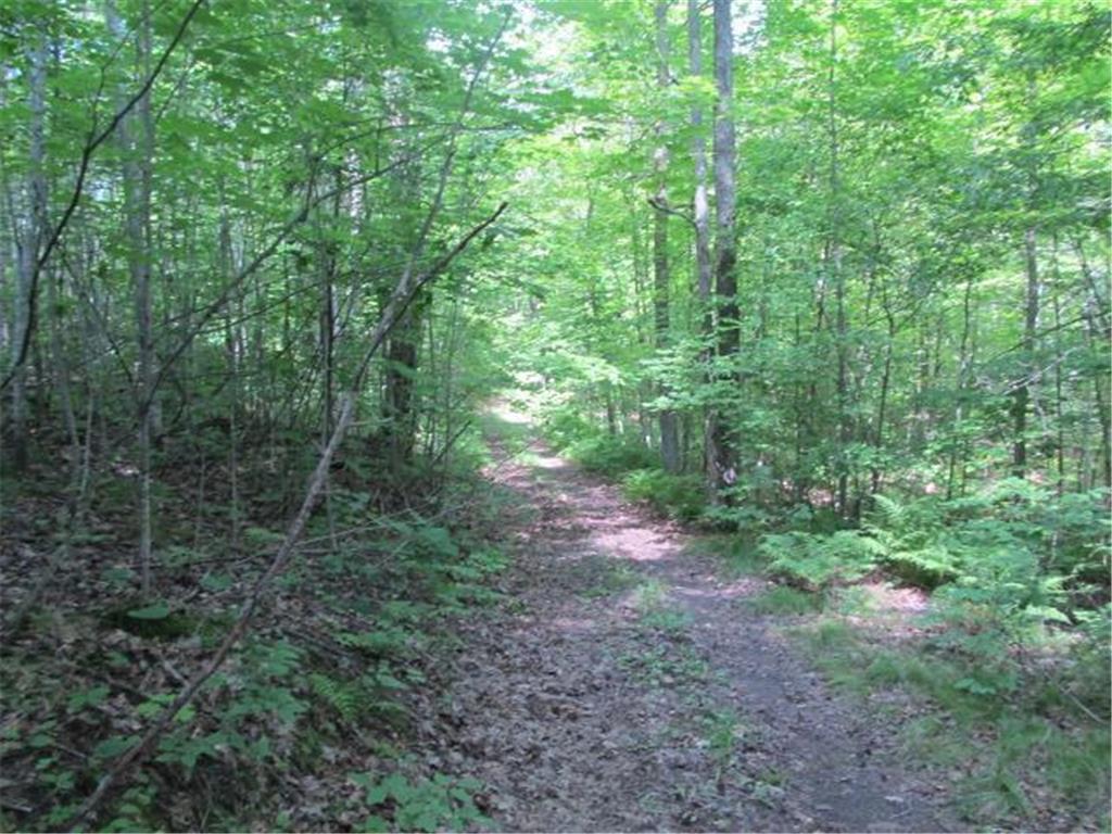 0 29 1/2 Avenue Roosevelt Twp WI 54813 - Shallow Lake 6589445 image1