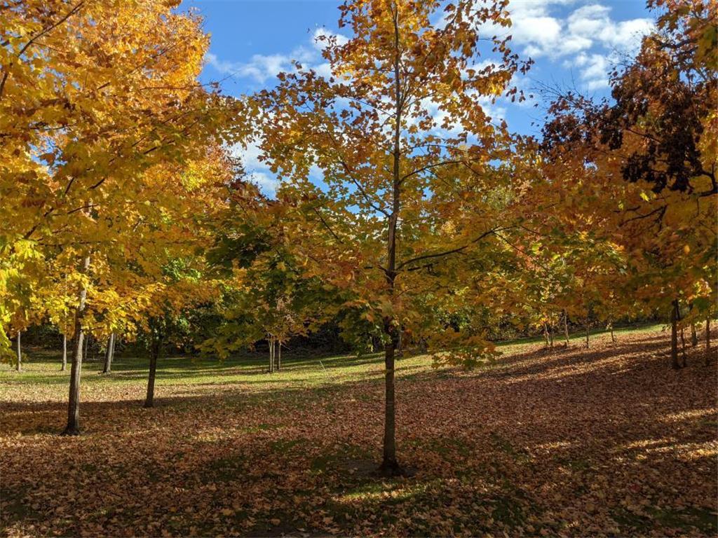 0 365th Street Rush Lake Twp MN 56571 6319301 image1