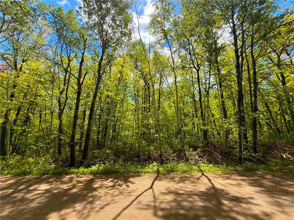 0 469th st Kathio Twp MN 56450 - Mille Lacs Lake 7080008 image9
