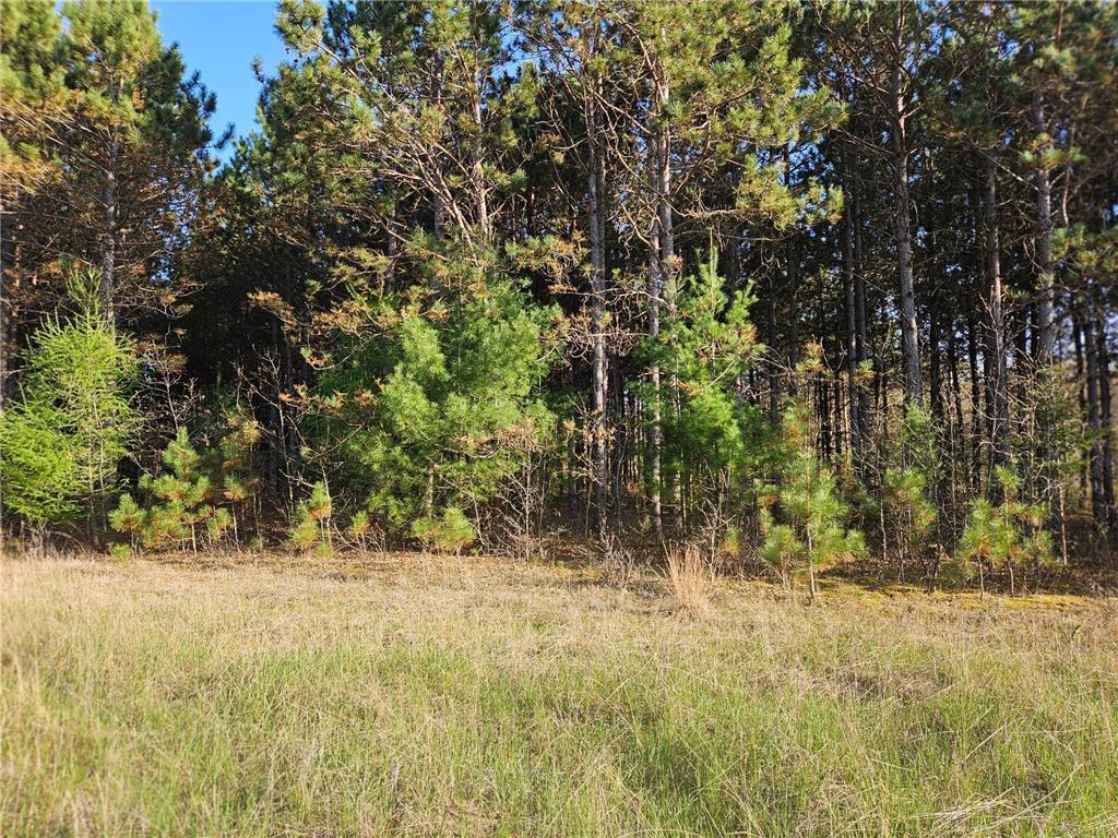 0 990th Avenue Colfax WI 54730 6717603 image2