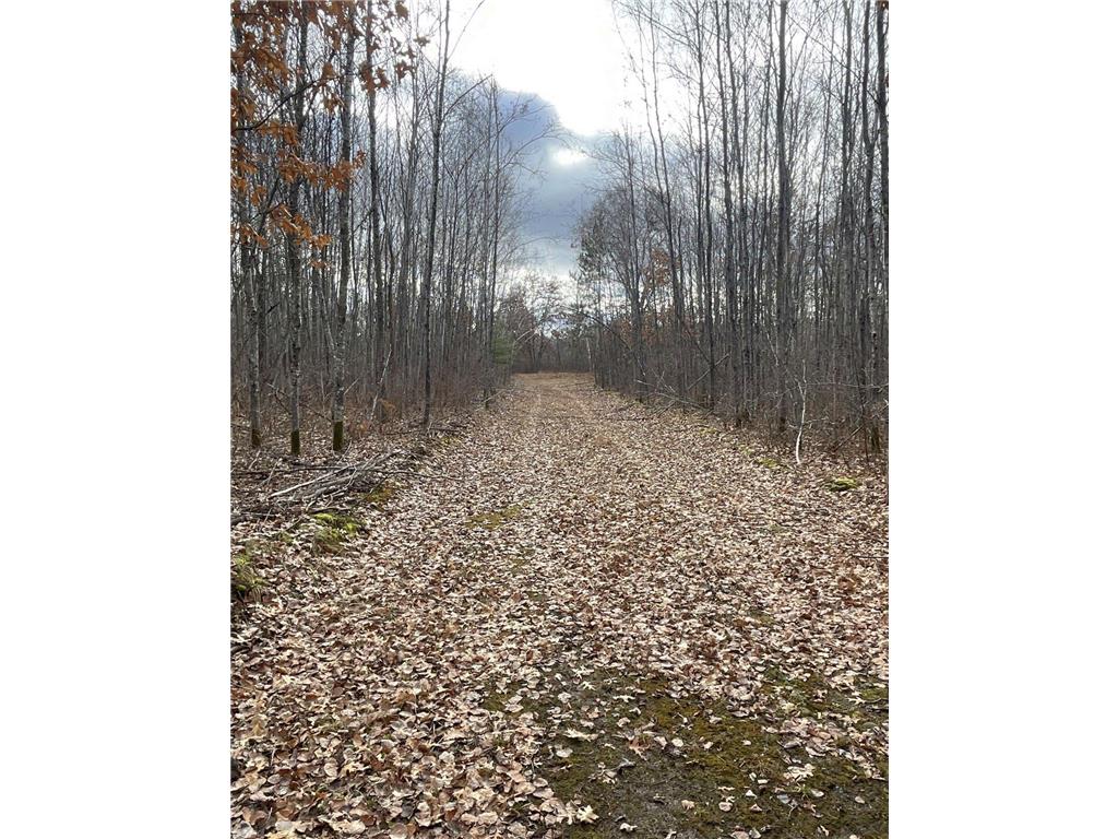 0 Airport Road Crystal Twp WI 54875 6536935 image1