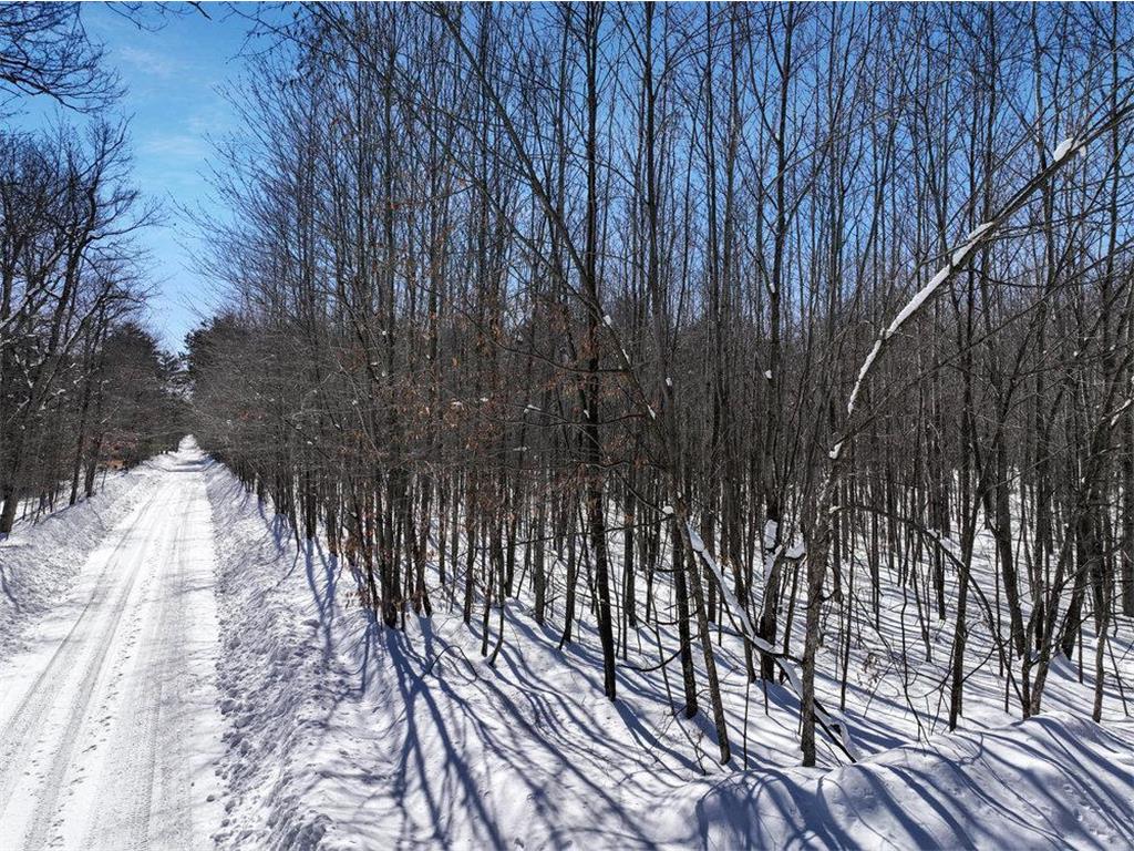 0 Badger Bass Lake Twp WI 54843 6343924 image1