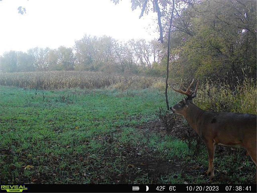 0 Briten Road Preston Twp WI 54616 6491346 image1