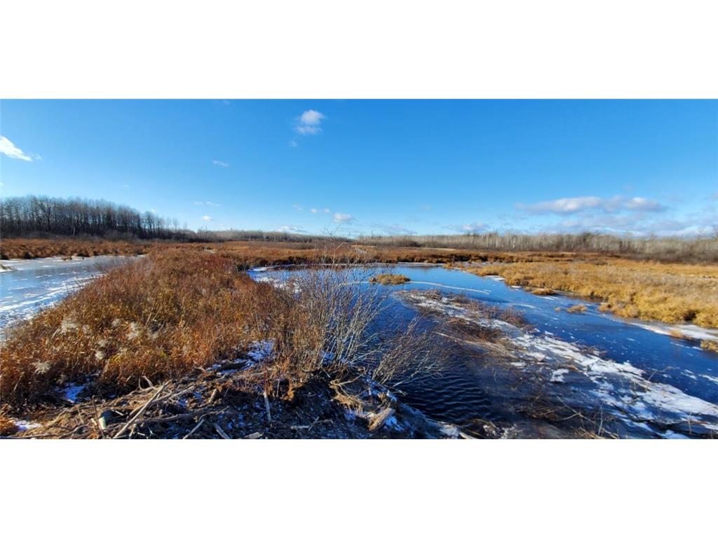 0 Brown Road, Kettle River, MN, 55757 MLS 6231439 Edina Realty