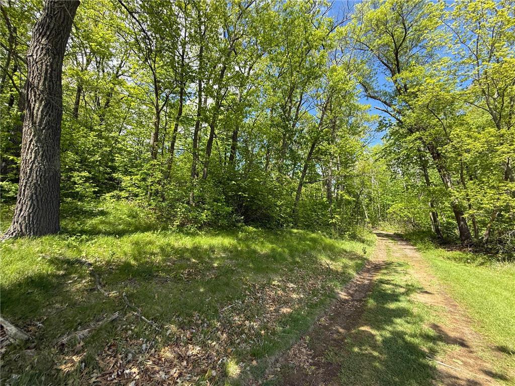 0 Captive Lake Rd Kathio Twp MN 56450 7075608 image8