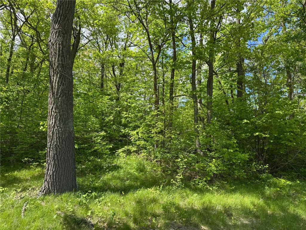 0 Captive Lake Rd Kathio Twp MN 56450 7075608 image9