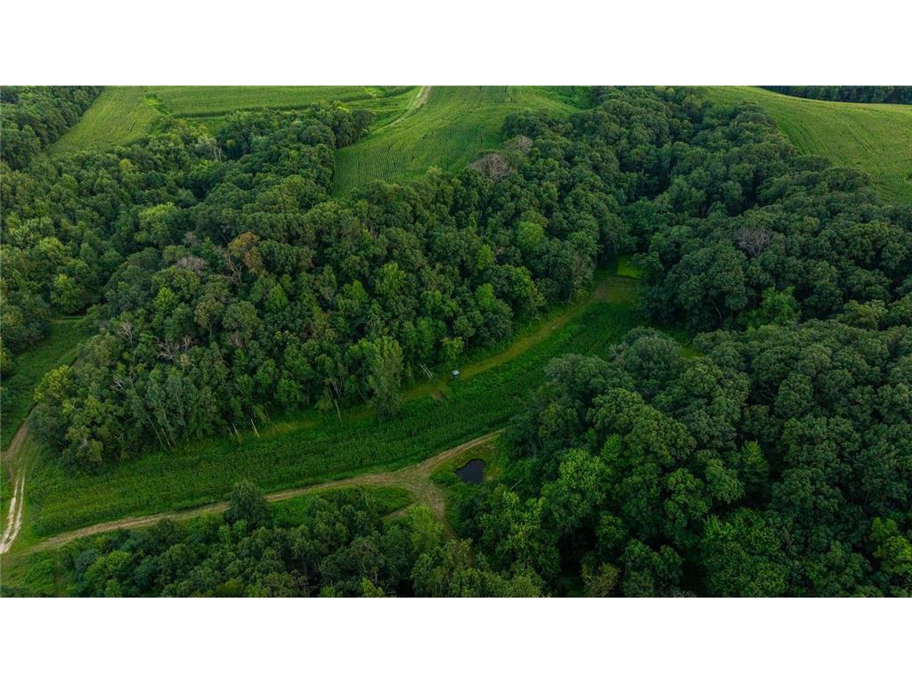 0 Co Rd S Preston Twp WI 54616 7055072 image26