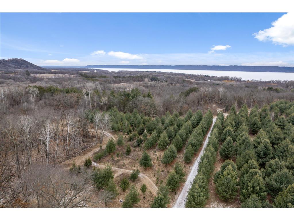 0 Cottonwood Lane East Parcel Pepin WI 54769 6811743 image10