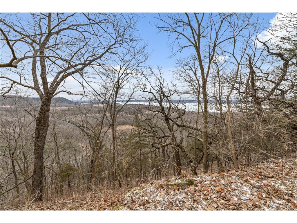 0 Cottonwood Lane East Parcel Pepin WI 54769 6811743 image12