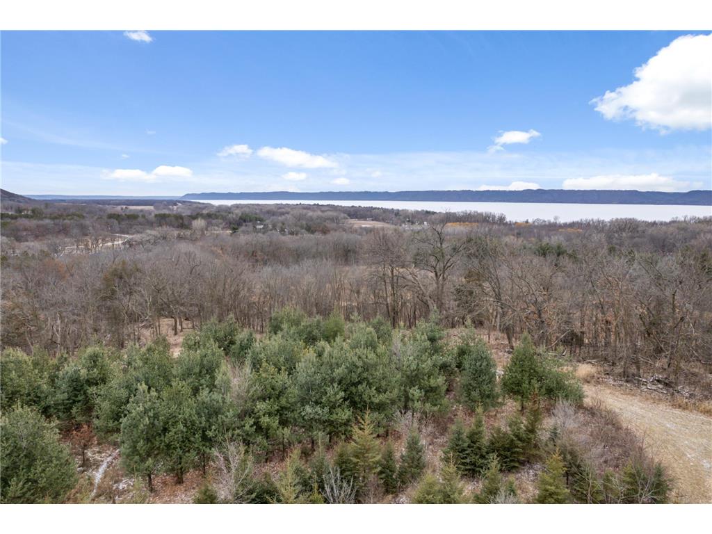 0 Cottonwood Lane East Parcel Pepin WI 54769 6811743 image13