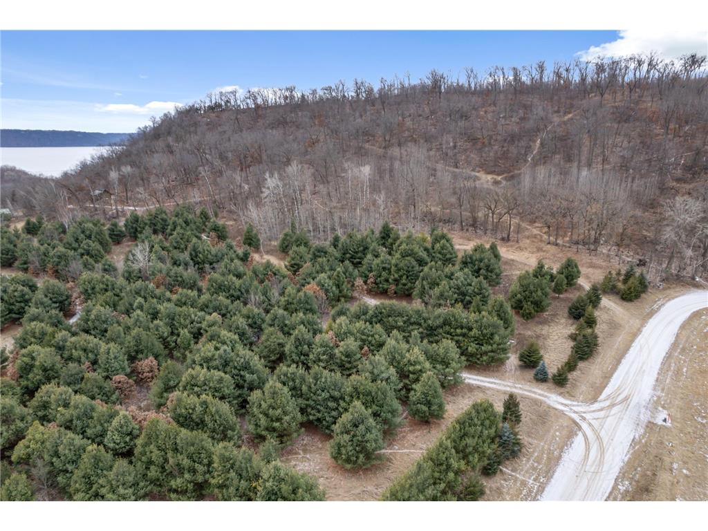 0 Cottonwood Lane East Parcel Pepin WI 54769 6811743 image16