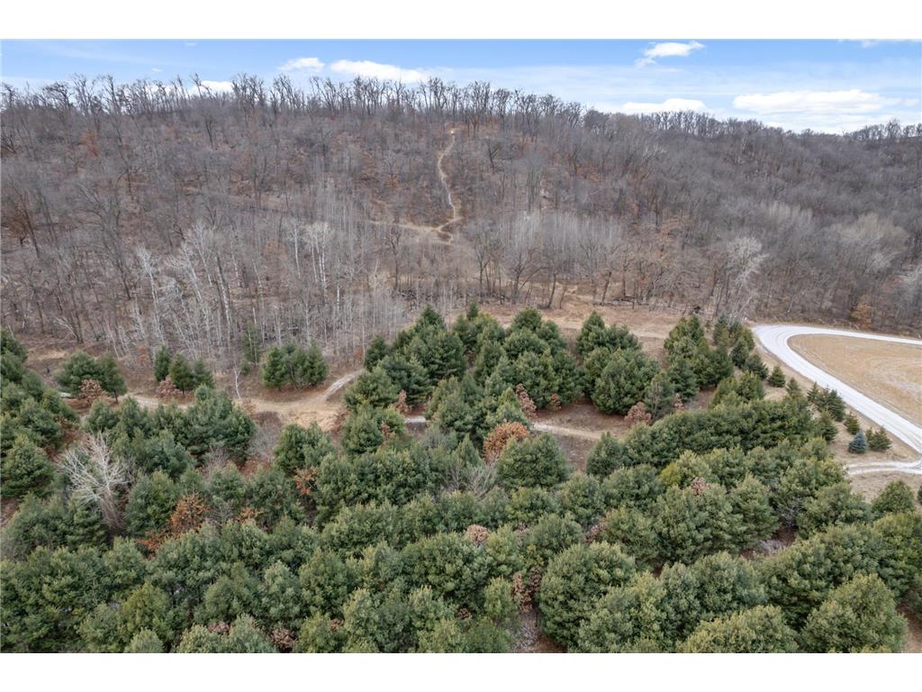 0 Cottonwood Lane East Parcel Pepin WI 54769 6811743 image17