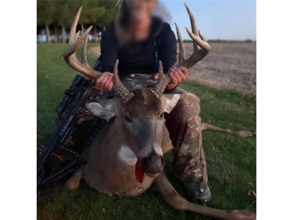 0 Cottonwood Lane East Parcel Pepin WI 54769 6811743 image18