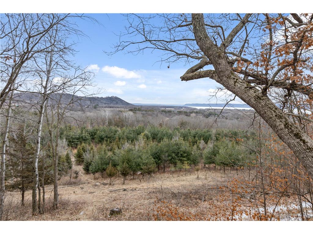 0 Cottonwood Lane East Parcel Pepin WI 54769 6811743 image6