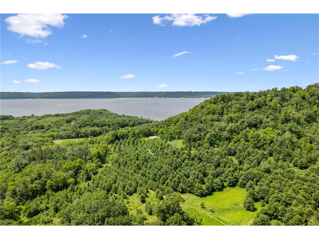 0 Cottonwood Lane West Parcel Pepin WI 54769 6811800 image1