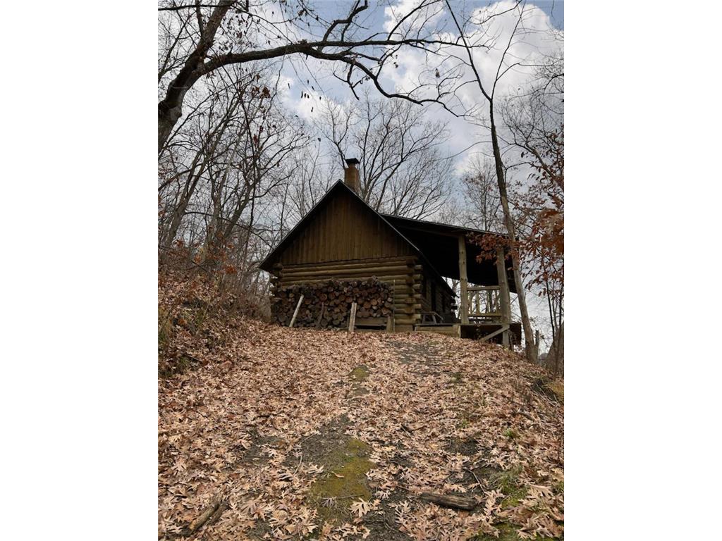 0 Cottonwood Lane West Parcel Pepin WI 54769 6811800 image14