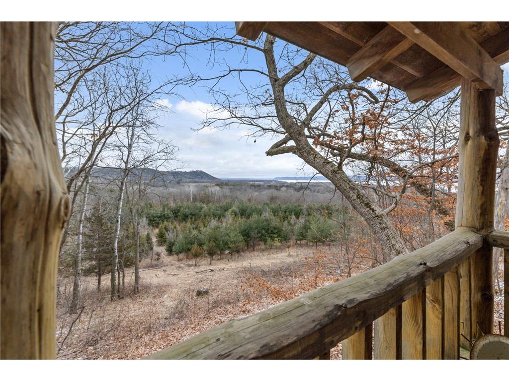 0 Cottonwood Lane West Parcel Pepin WI 54769 6811800 image15