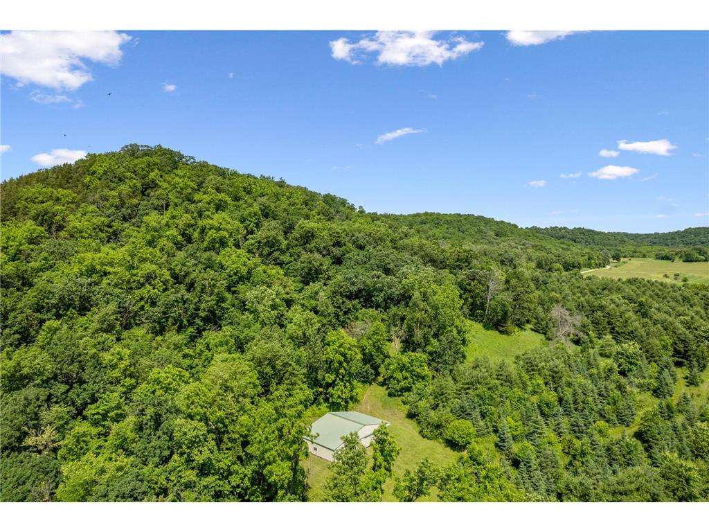 0 Cottonwood Lane West Parcel Pepin WI 54769 6811800 image17