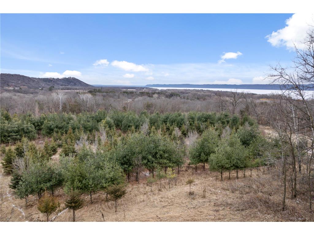 0 Cottonwood Lane West Parcel Pepin WI 54769 6811800 image21
