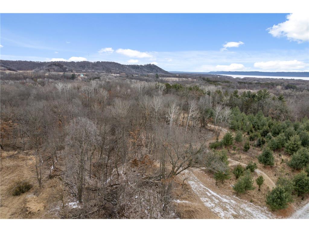 0 Cottonwood Lane West Parcel Pepin WI 54769 6811800 image23