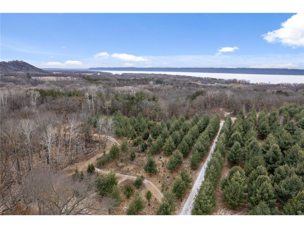 0 Cottonwood Lane West Parcel Pepin WI 54769 6811800 image24