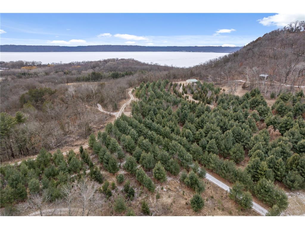 0 Cottonwood Lane West Parcel Pepin WI 54769 6811800 image25