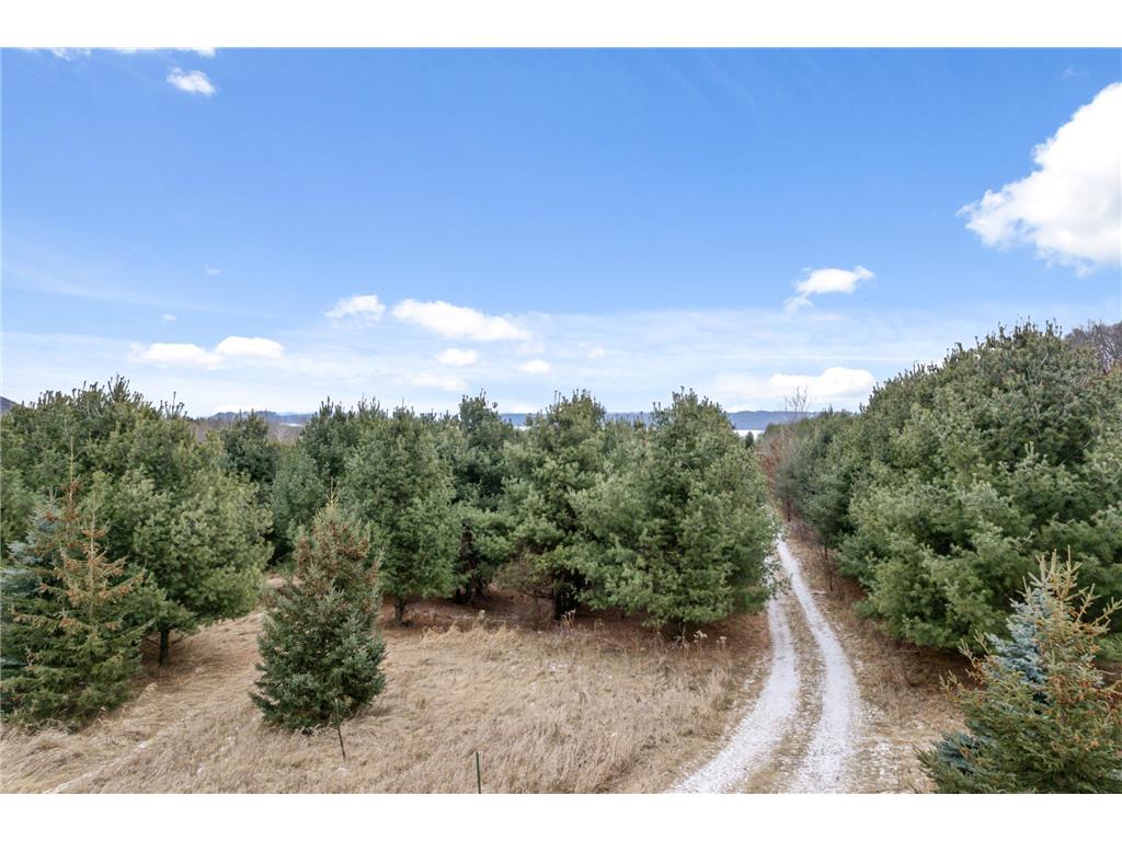 0 Cottonwood Lane West Parcel Pepin WI 54769 6811800 image28