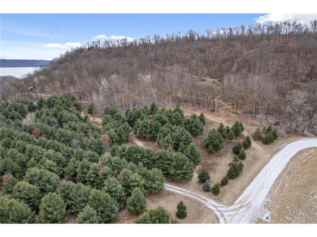 0 Cottonwood Lane West Parcel Pepin WI 54769 6811800 image29