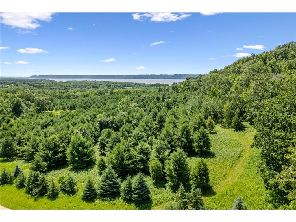 0 Cottonwood Lane West Parcel Pepin WI 54769 6811800 image3