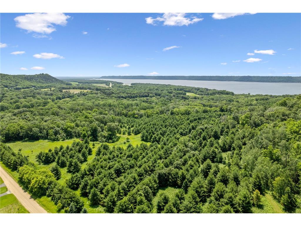 0 Cottonwood Lane West Parcel Pepin WI 54769 6811800 image4