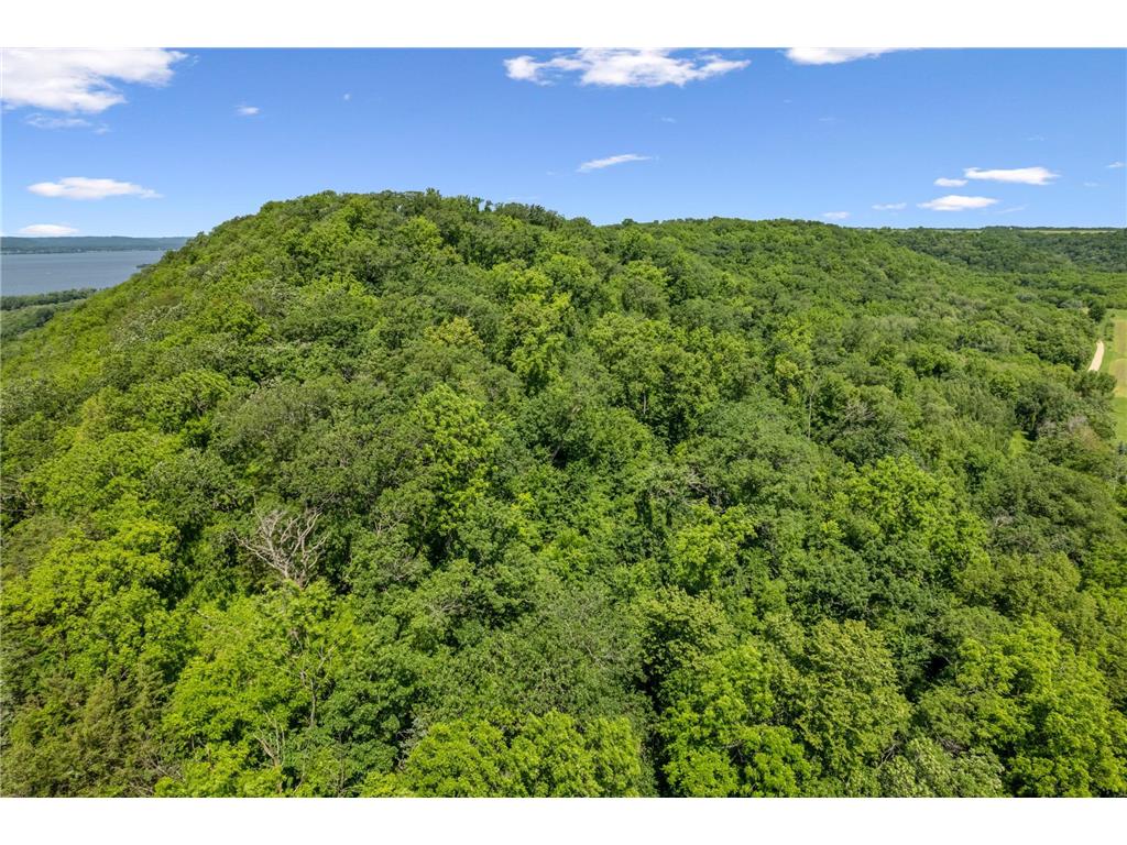 0 Cottonwood Lane West Parcel Pepin WI 54769 6811800 image5