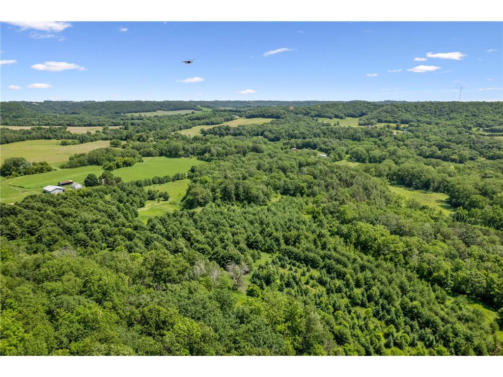 0 Cottonwood Lane West Parcel Pepin WI 54769 6811800 image6