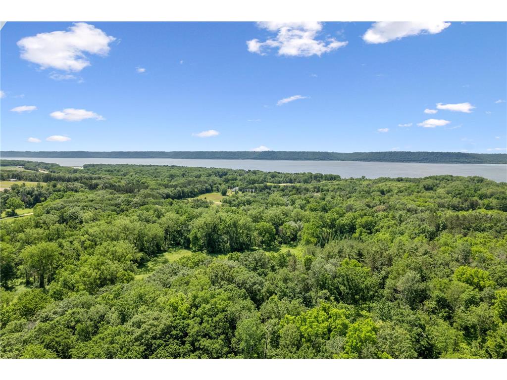 0 Cottonwood Lane West Parcel Pepin WI 54769 6811800 image7