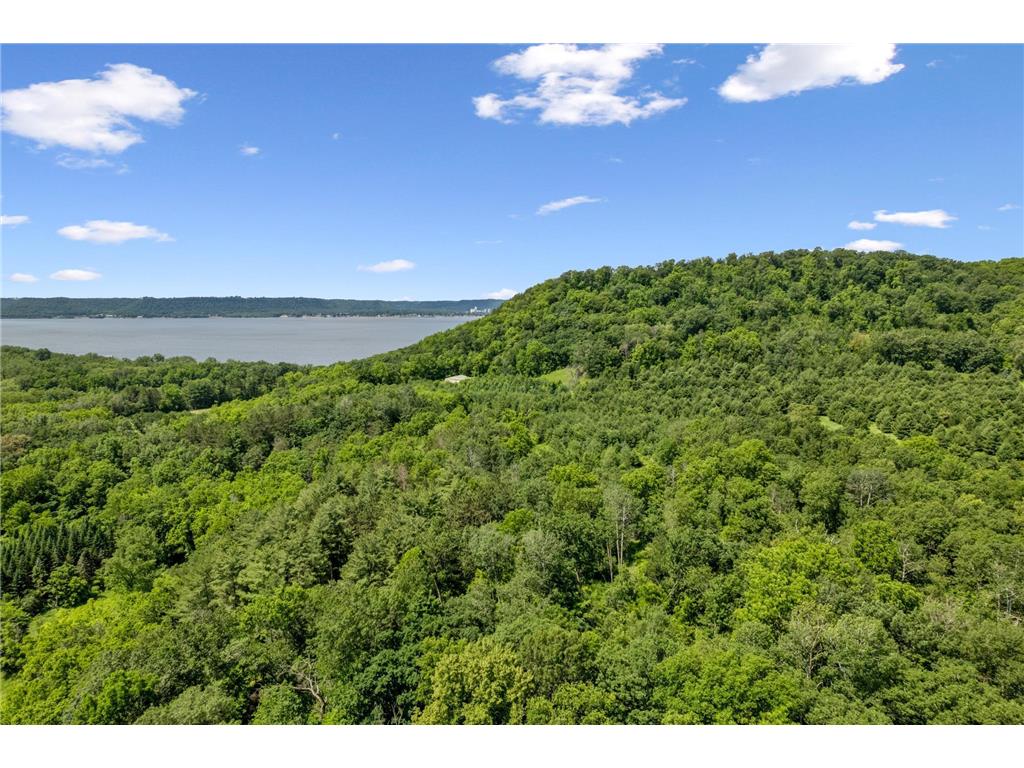 0 Cottonwood Lane West Parcel Pepin WI 54769 6811800 image8