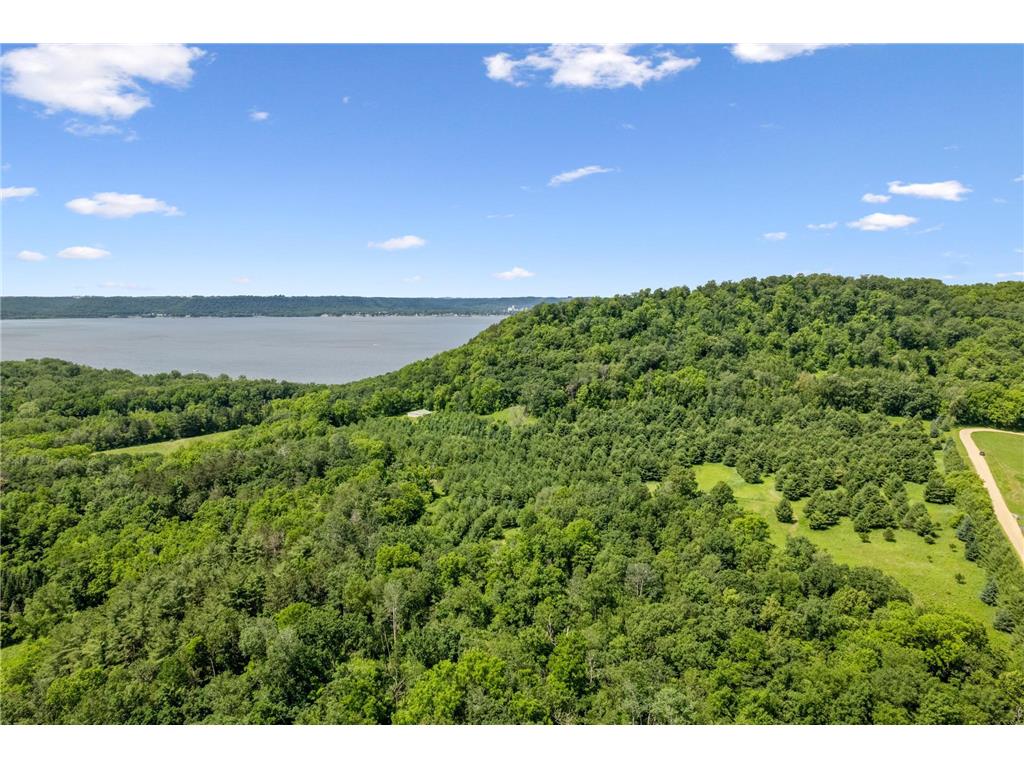 0 Cottonwood Lane West Parcel Pepin WI 54769 6811800 image9