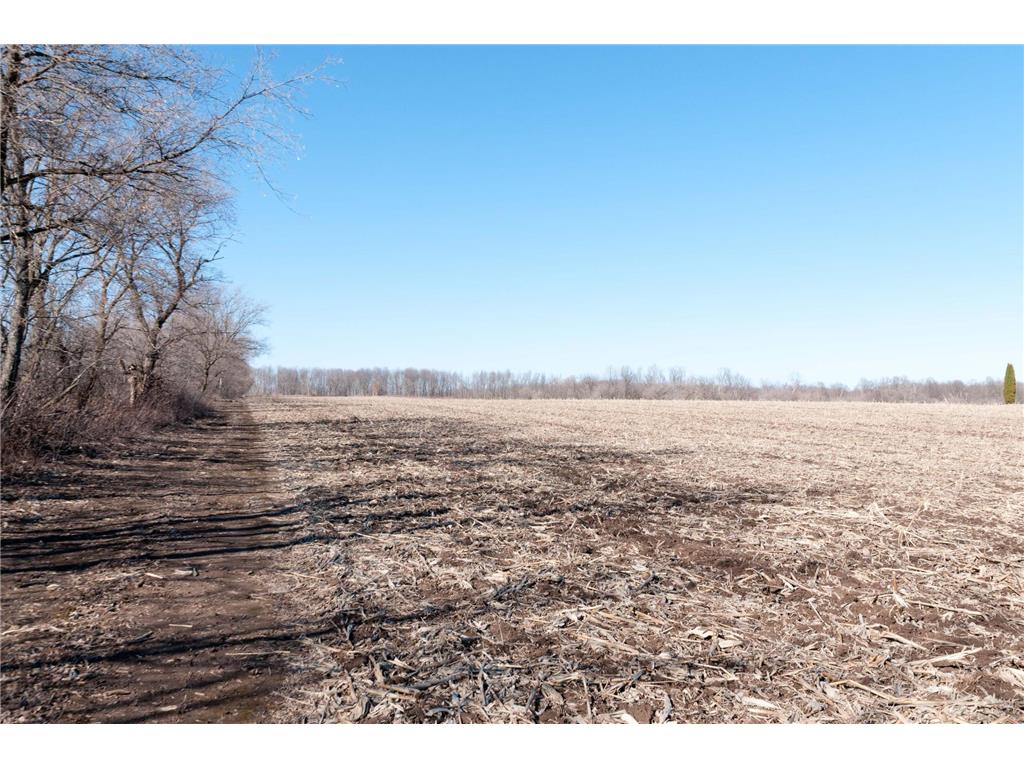 0 County Highway D Prairie Lake Twp WI 54728 6691245 image1