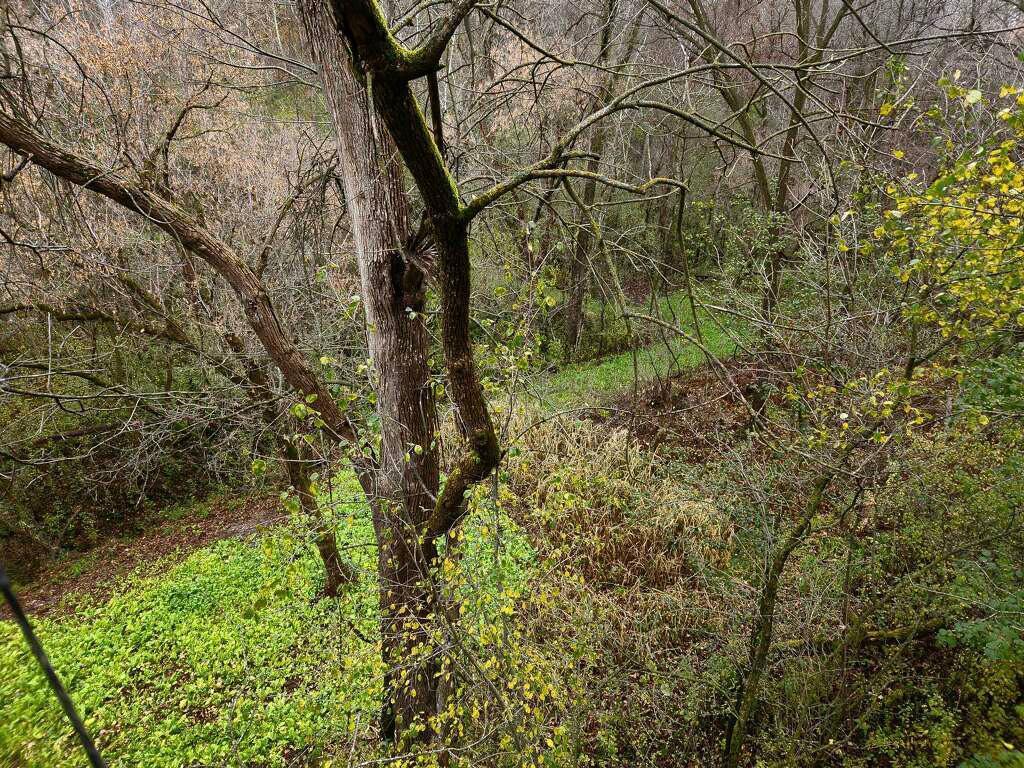 0 County Rd G Arcadia WI 54612 6519252 image1