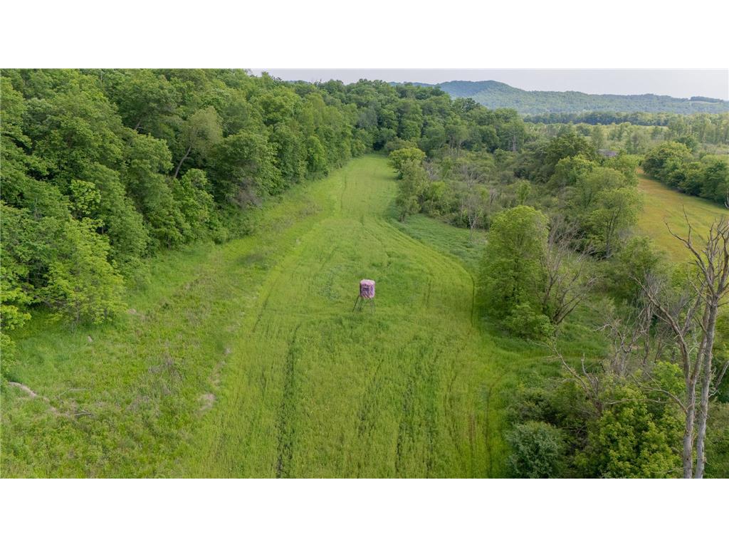 0 County Rd G Road Dodge Twp WI 54625 6769407 image4