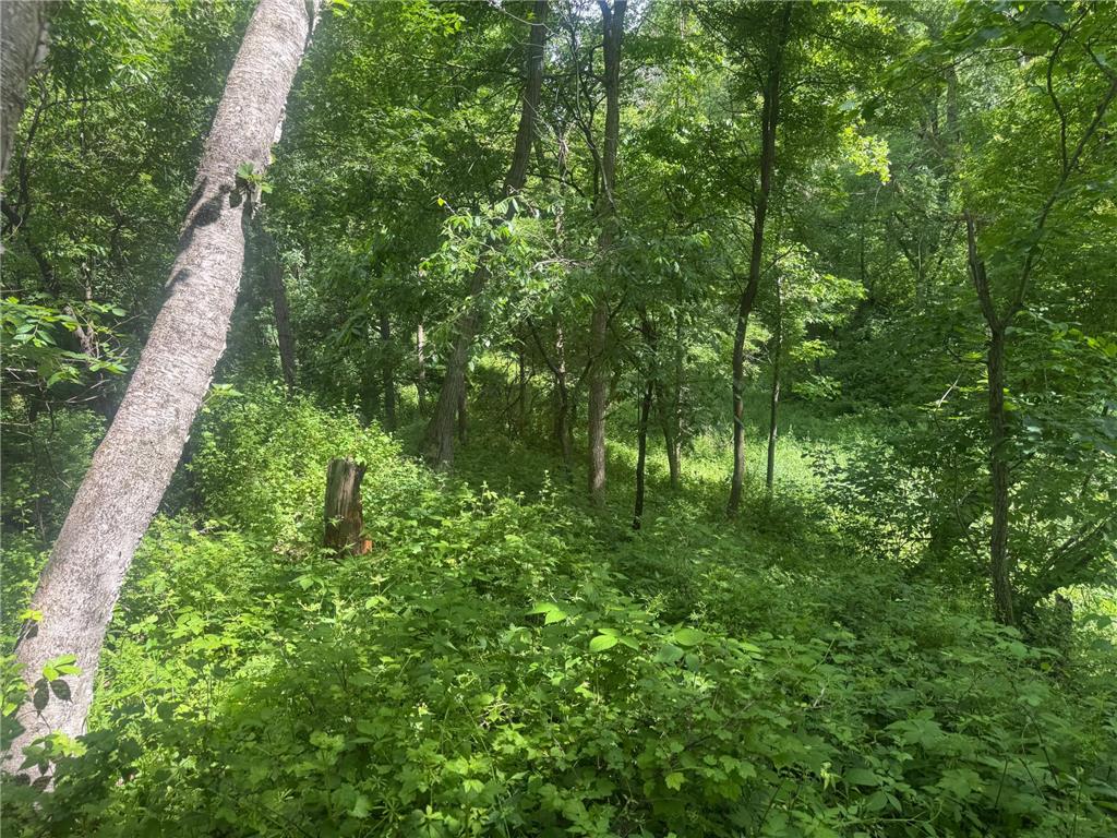 0 County Rd JJ Arcadia WI 54612 7086769 image10
