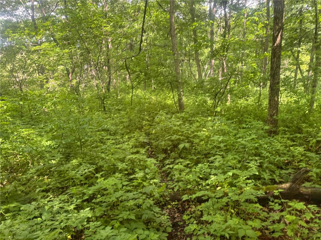 0 County Rd JJ Arcadia WI 54612 7086769 image11