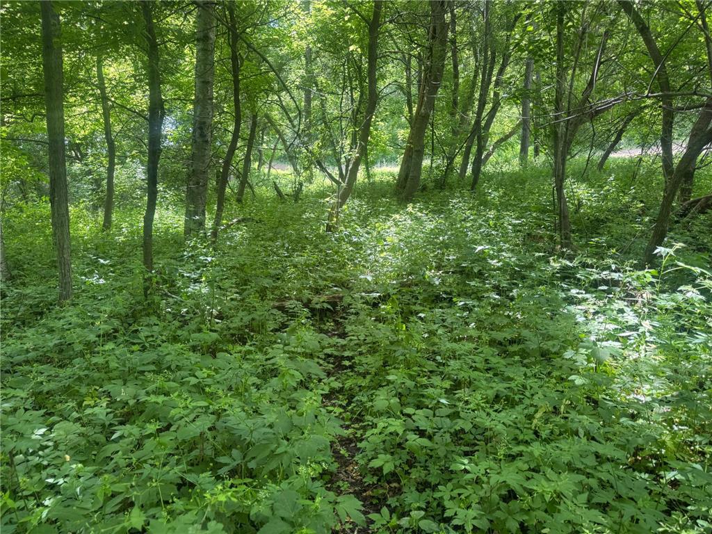 0 County Rd JJ Arcadia WI 54612 7086769 image12