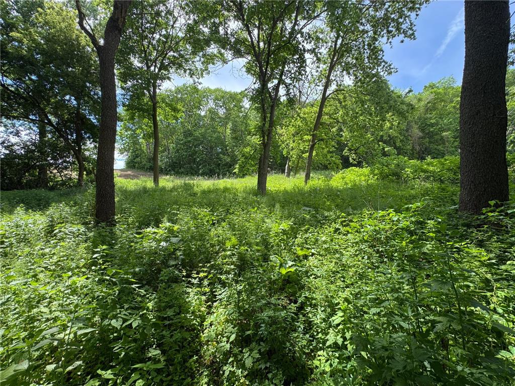 0 County Rd JJ Arcadia WI 54612 7086769 image13