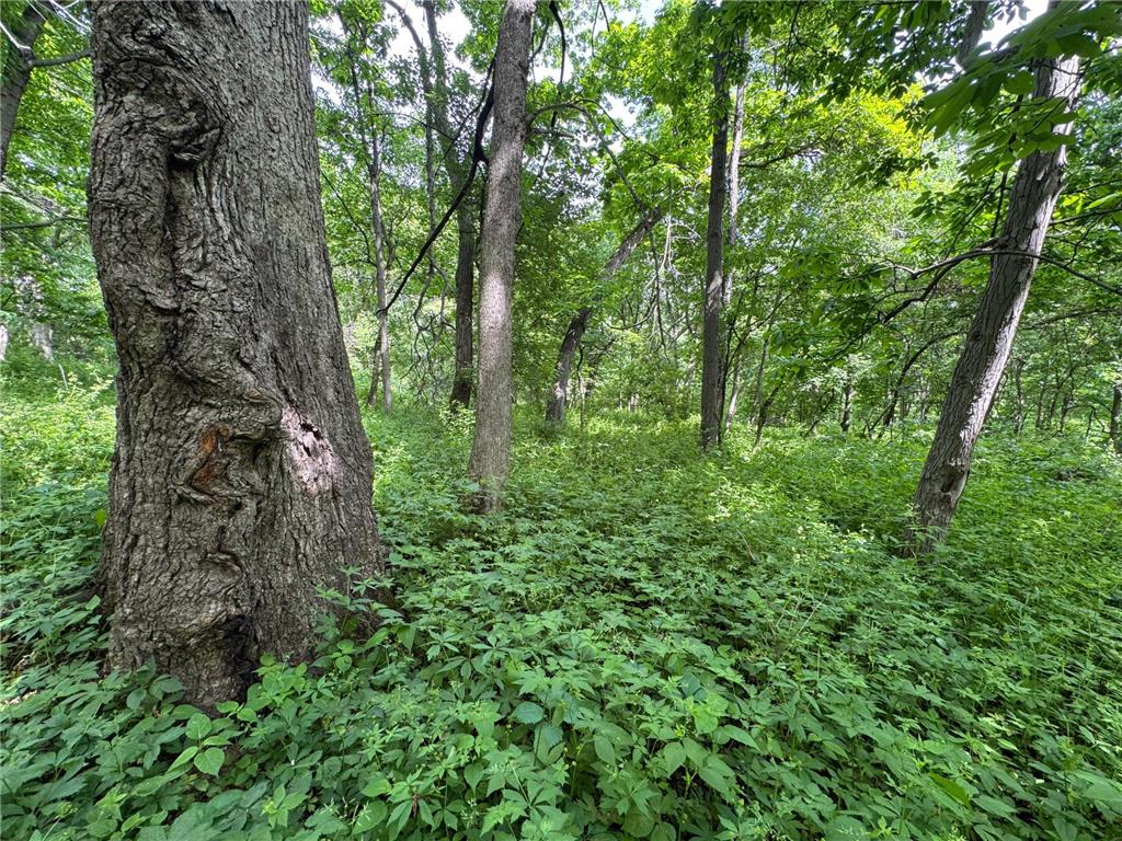 0 County Rd JJ Arcadia WI 54612 7086769 image16