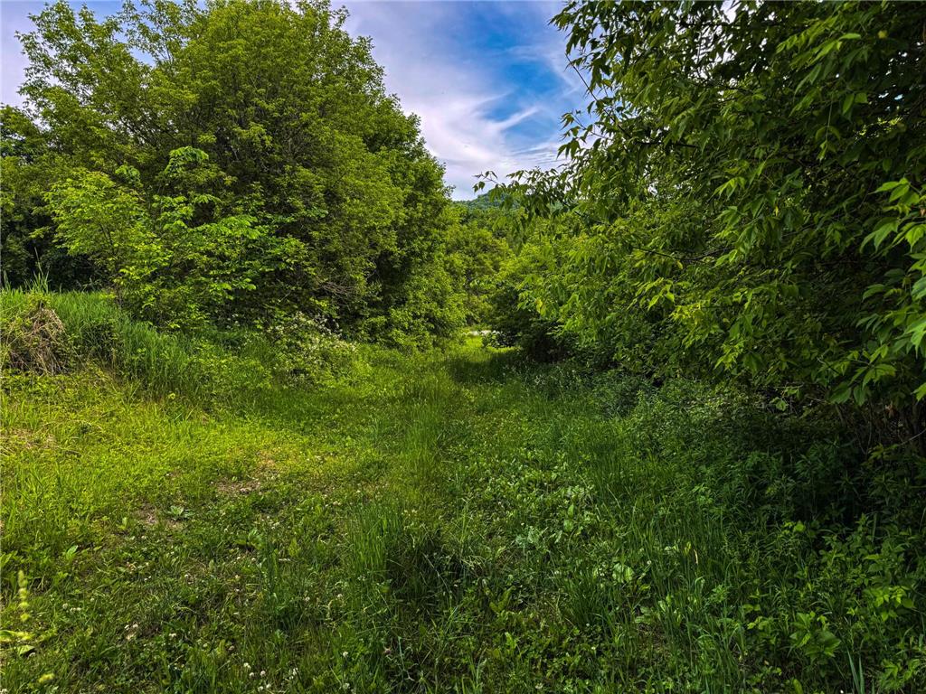 0 County Rd JJ Arcadia WI 54612 7086769 image21