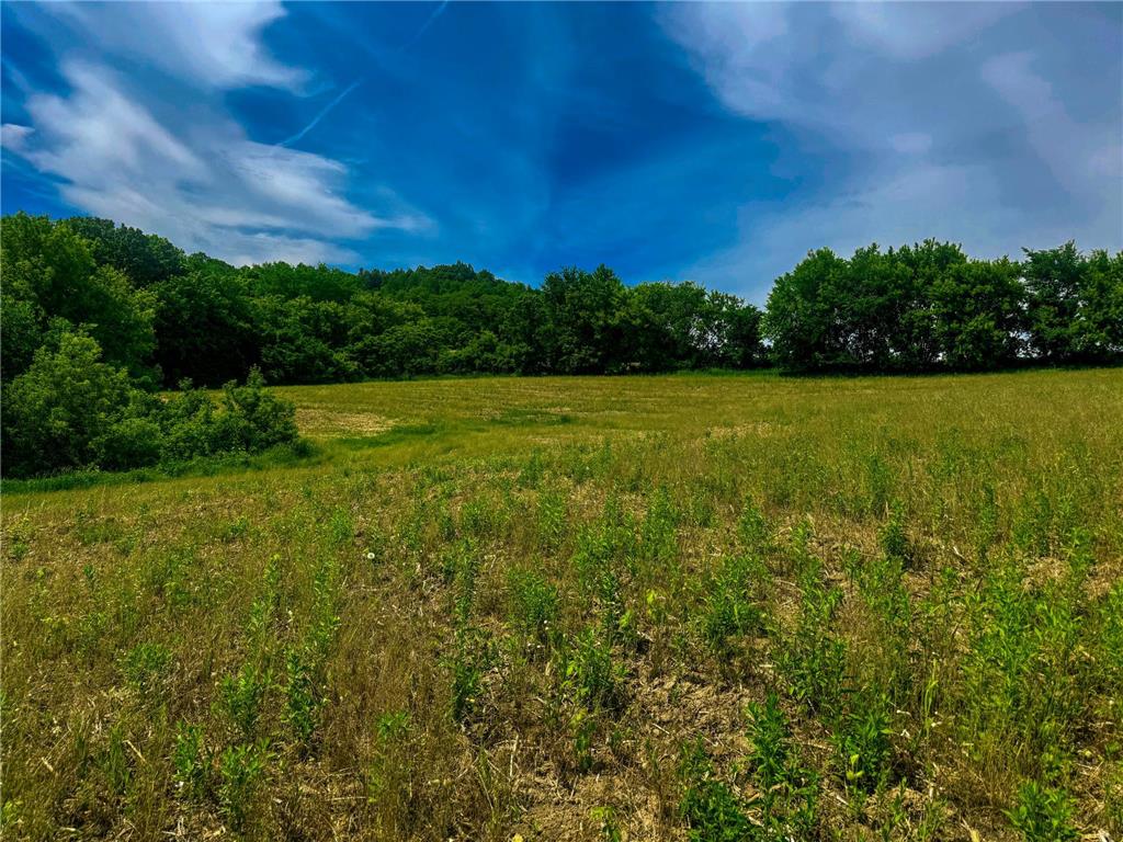 0 County Rd JJ Arcadia WI 54612 7086769 image3