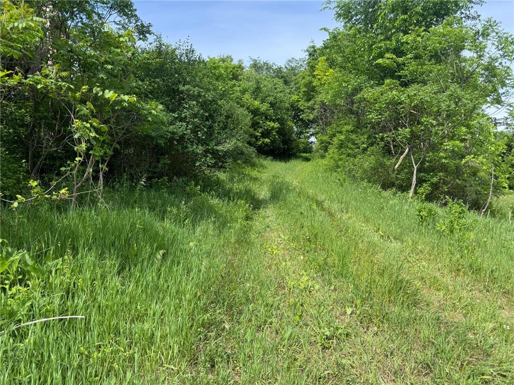 0 County Rd JJ Arcadia WI 54612 7086769 image37