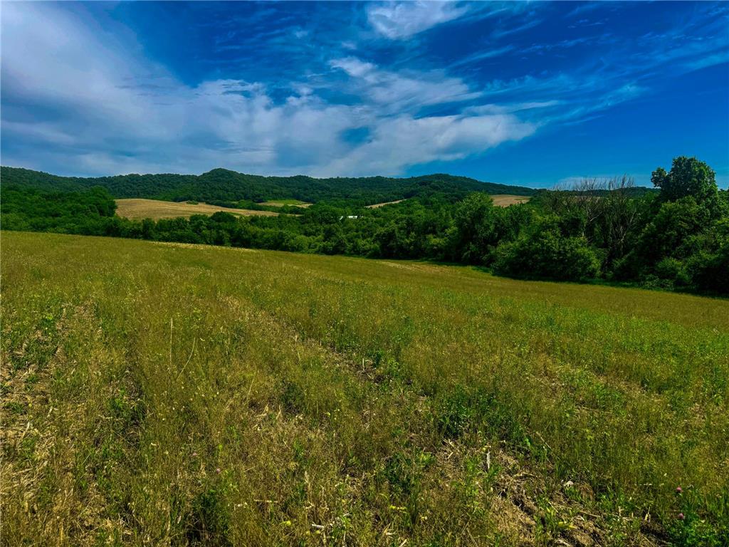 0 County Rd JJ Arcadia WI 54612 7086769 image4