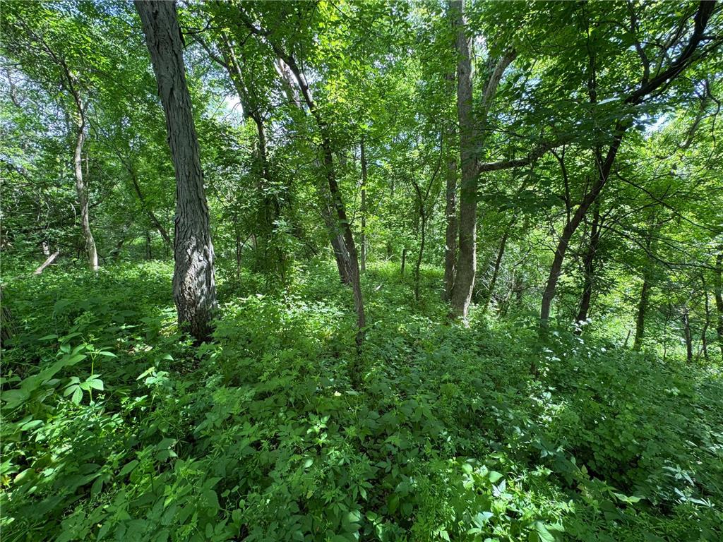 0 County Rd JJ Arcadia WI 54612 7086769 image5